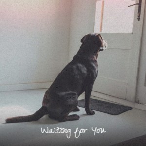 收听Paul Anka的Waiting For You歌词歌曲