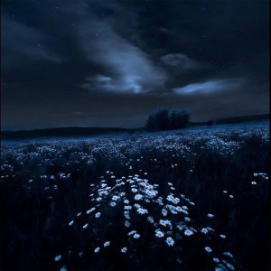 Album Clouded Thoughts (with rain) from 