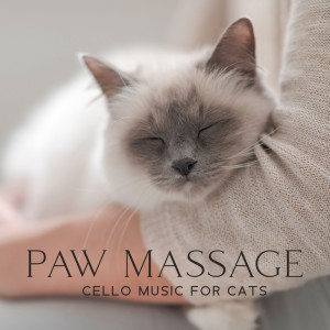 Cats Music Zone的专辑Paw Massage (Cello Music for Cats, Serenity Pet Melodies)