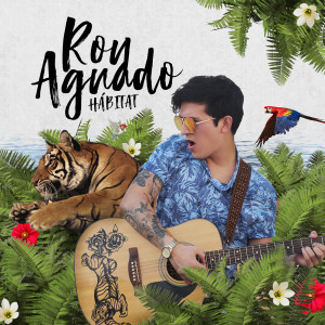 Listen to Apareciste song with lyrics from Roy Aguado