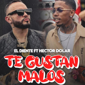 Hector Dolar的專輯TE GUSTAN LOS MALOS (feat. El Diente) [Explicit]