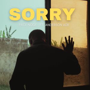 Listen to SORRY song with lyrics from Pace Noge