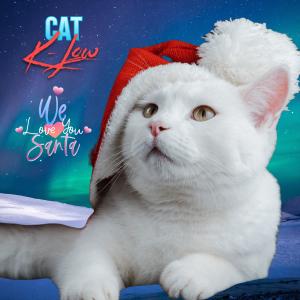 收聽Cat K-Low的We Love You Santa (feat. Santa Claus) (Rudolph Mix)歌詞歌曲