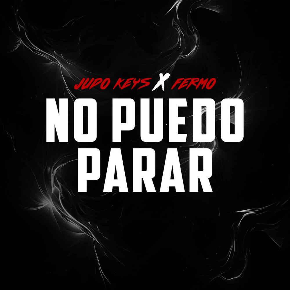 No Puedo Parar (feat. Fermo)