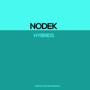 Album Hybrids from Nodek