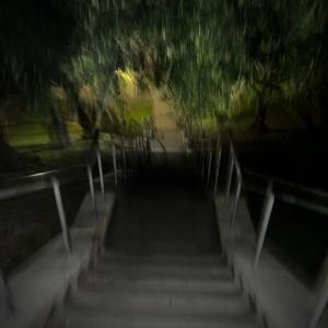 Mirela的專輯Lost