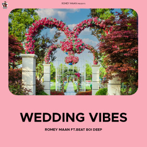 Listen to Wedding Vibes song with lyrics from Romey Maan