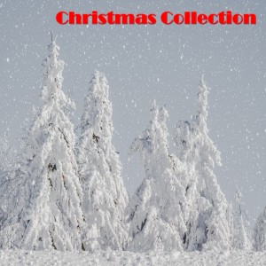 Listen to Pastorale song with lyrics from Stokowski