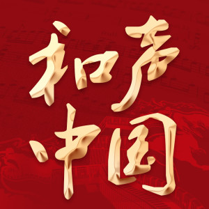 Album 和声中国 from 王陈娜