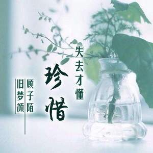 ดาวน์โหลดและฟังเพลง 失去才懂珍惜 (抖音版) พร้อมเนื้อเพลงจาก 顾子陌