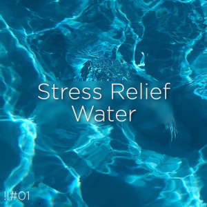Listen to Deep Sleep Sounds song with lyrics from Ocean Waves for Sleep