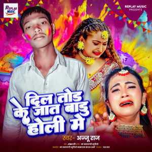 Album Dil Tod Ke Jat Badu Holi Me from Ajju Raj