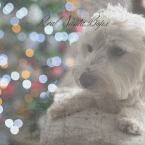 Listen to The Christmas Song song with lyrics from Angel