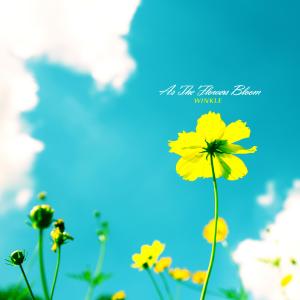 Album As The Flowers Bloom from Winkle