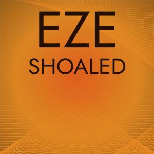 อัลบัม Eze Shoaled ศิลปิน Various