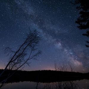 Listen to Relax song with lyrics from Sleep Sounds of Nature