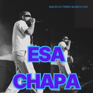 收聽maceo el perro blanco live的esa chapa (live)歌詞歌曲