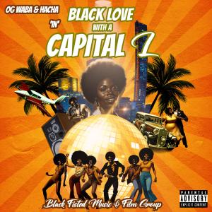 收聽WabaHacha的Flashing Lights 4 My Firstborn (feat. Motives Are Sincere)歌詞歌曲