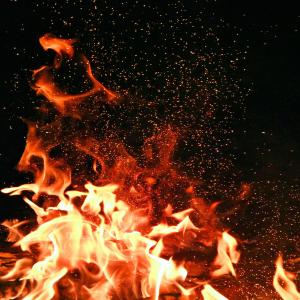 收听Roscoe F的Lei Che歌词歌曲