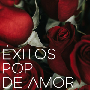 อัลบัม Éxitos Pop de Amor ศิลปิน Various