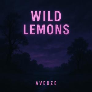 ดาวน์โหลดและฟังเพลง Avedze พร้อมเนื้อเพลงจาก LKT