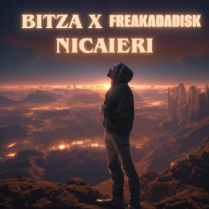 Album Nicăieri oleh Bitza