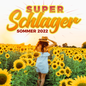 Listen to Feuerfunkenregen song with lyrics from Julian David