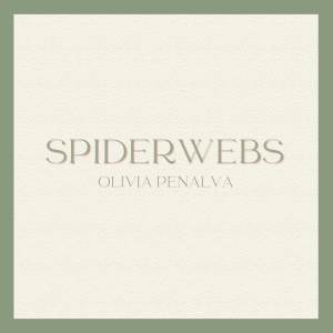 Album Spiderwebs from Olivia Penalva