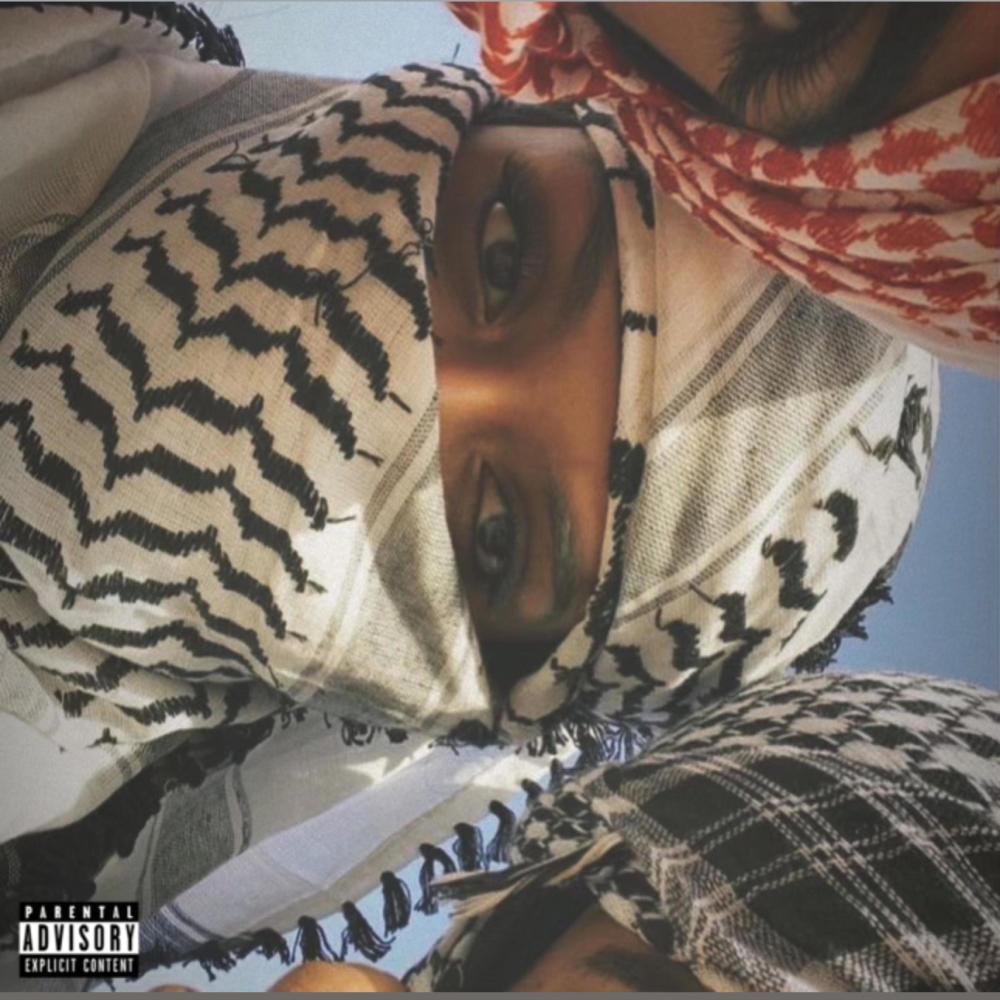 Gyptian Baby (Explicit)