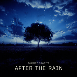 อัลบัม After The Rain (Instrumental) ศิลปิน Tommee Profitt