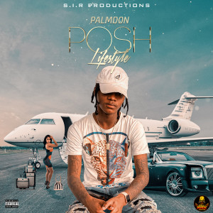 ดาวน์โหลดและฟังเพลง Posh Lifestyle พร้อมเนื้อเพลงจาก Palmdan