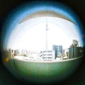 Album Summer from Miraidempa