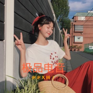 泡泡又困了的专辑极品电音