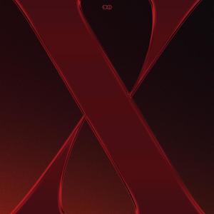 EXID的專輯X