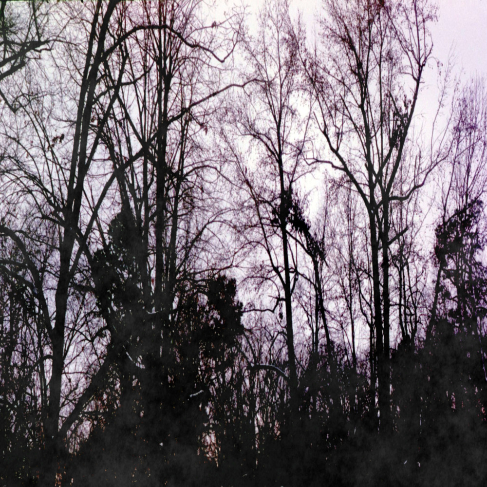 Grieve and Weep (Explicit)