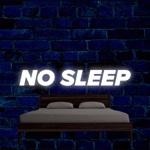 อัลบัม No Sleep ศิลปิน RnB Instrumentals
