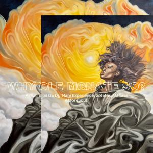 Album Why Ole Monate So? (with MoreSoul, Nani Experience & Solethu Madasa) from Agnal Olecis