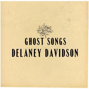 ดาวน์โหลดและฟังเพลง I'm a Fool (其他) พร้อมเนื้อเพลงจาก Delaney Davidson