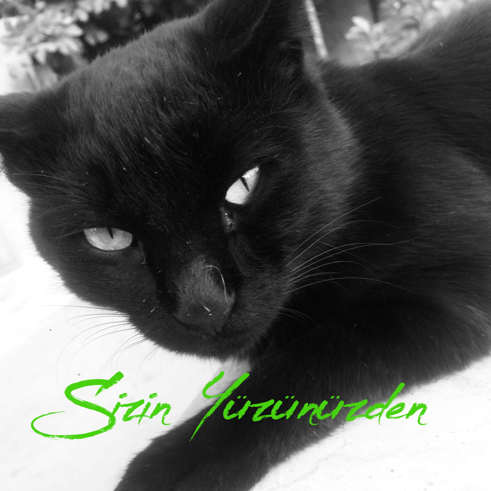 Sizin Yüzünüzden
