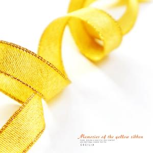 Album Memories of yellow ribbon from Cecilia