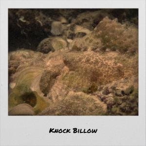 Listen to Knock Billow song with lyrics from Bino Kner