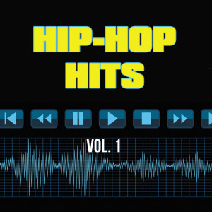 ดาวน์โหลดและฟังเพลง Stereo Hearts (Gym Class Heroes Instrumental Cover) (Explicit) พร้อมเนื้อเพลงจาก Instrumentals