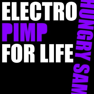Listen to Disco Zombie song with lyrics from Hungry Sam