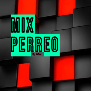 Dengarkan Regueton Mix 2021 Dj Mix Vol 6 #Raw #Anuel #Yandel #Farru #Yanke lagu dari Dj Mix dengan lirik