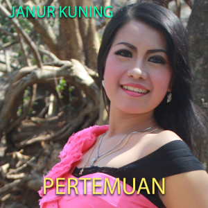 Janur Kuning的專輯Pertemuan