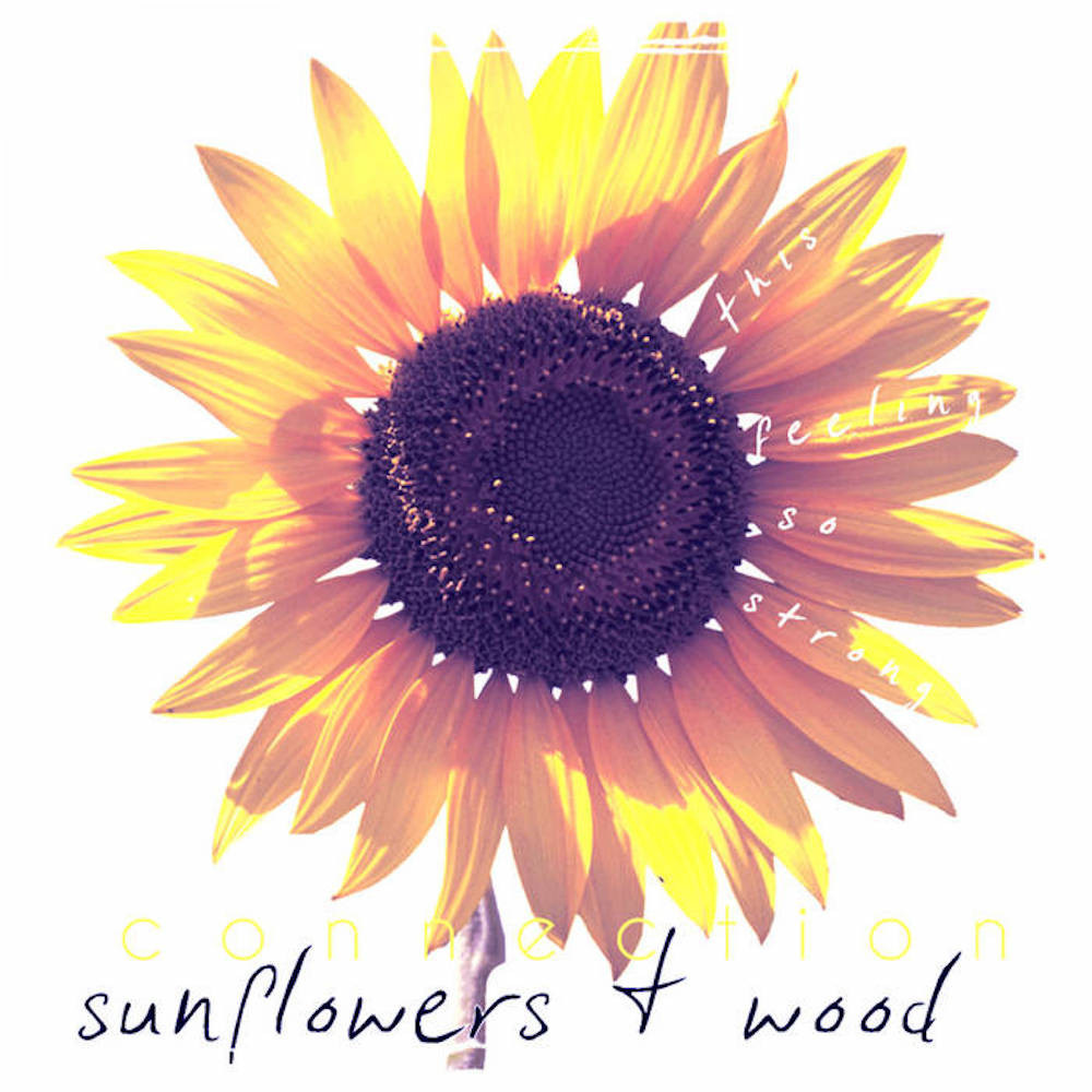Sunflowers & Wood