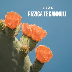 Album Pizzica te cannule from Ödra