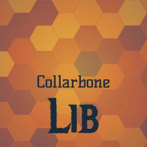 Dengarkan lagu Collarbone Lib nyanyian Hawin Soke dengan lirik