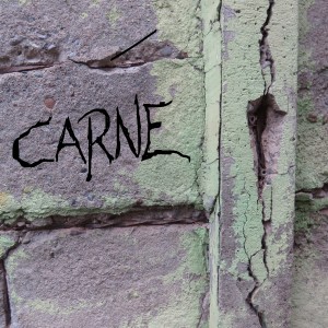 Album Carne from Furia