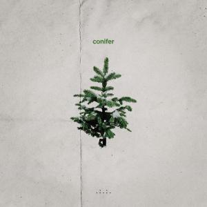 Matt Van的專輯Conifer